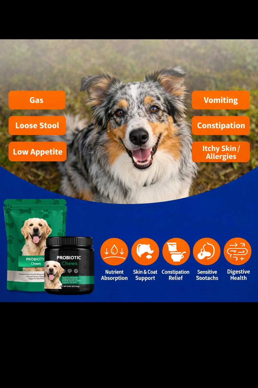 Daily Probiotic Chews for Digestive Support in Dogs
