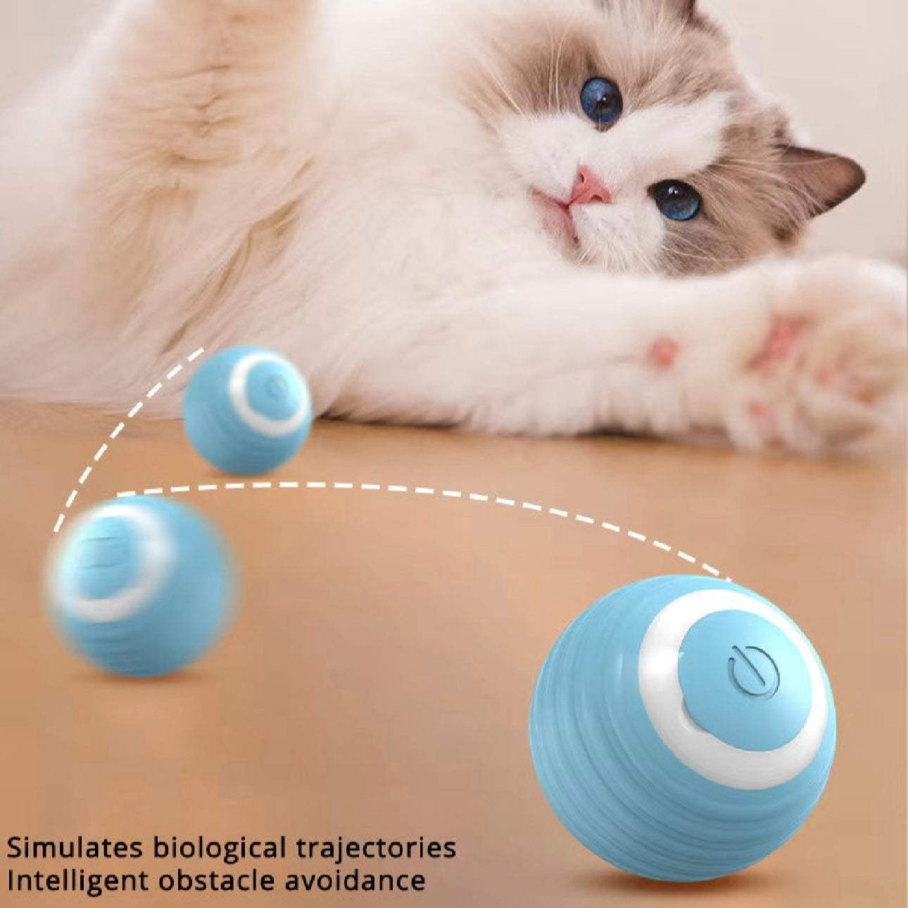 Smart Interactive Cat Ball – Automatic Indoor Play